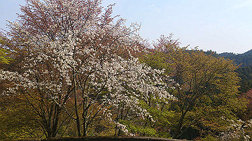 dsc_0270_thumb.jpg