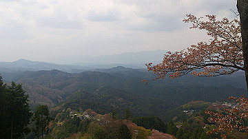 dsc_0272_thumb.jpg