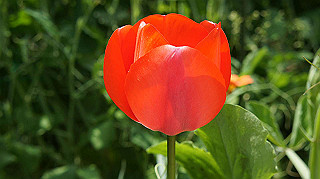2013hana_033_thumb.jpg