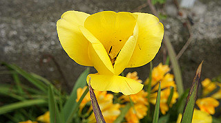 2013hana_036_thumb.jpg