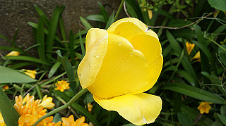 2013hana_037_thumb.jpg