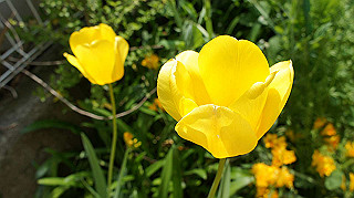 2013hana_038_thumb.jpg