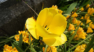 2013hana_039_thumb.jpg