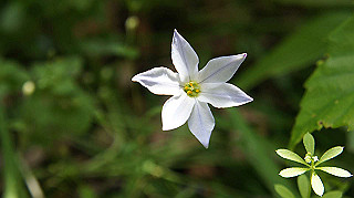 2013hana_049_thumb.jpg
