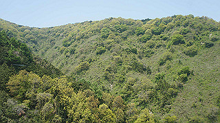 dsc00006_thumb.jpg