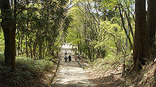 dsc00021_thumb.jpg