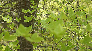 dsc00027_thumb.jpg