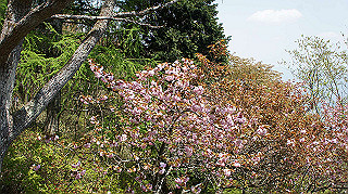 dsc00035_thumb.jpg