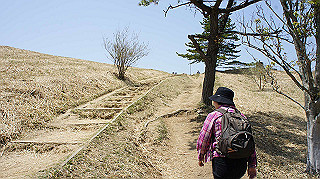 dsc00042_thumb.jpg