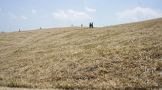 dsc00043_thumb.jpg