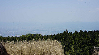 dsc00046_thumb.jpg