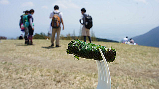dsc00055_thumb.jpg