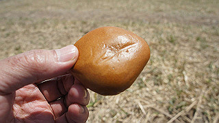 dsc00059_thumb.jpg