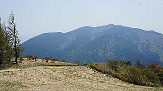 dsc00068_thumb.jpg