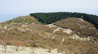 dsc00071_thumb.jpg