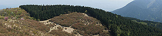 dsc00073_thumb.jpg