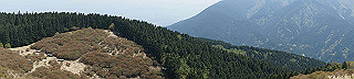 dsc00074_thumb.jpg