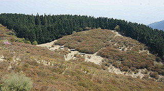 dsc00076_thumb.jpg