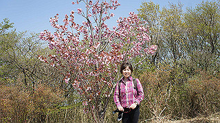 dsc00093_thumb.jpg