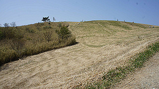 dsc00112_thumb.jpg