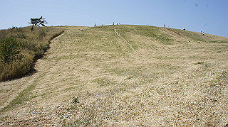 dsc00113_thumb.jpg