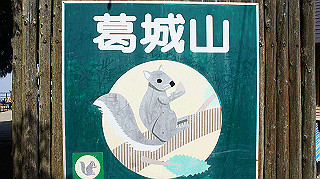 dsc00114_thumb.jpg