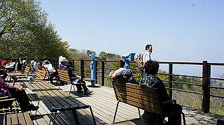 dsc00117_thumb.jpg