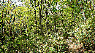 dsc00124_thumb.jpg