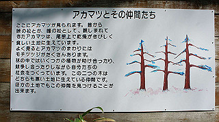 dsc00126_thumb.jpg