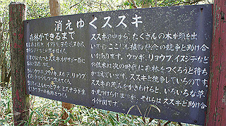 dsc00127_thumb.jpg