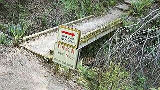 dsc00132_thumb.jpg