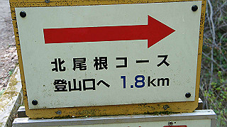 dsc00134_thumb.jpg