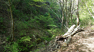 dsc00135_thumb.jpg