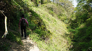 dsc00139_thumb.jpg