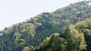 dsc00141_thumb.jpg