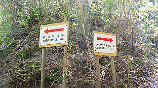dsc00145_thumb.jpg