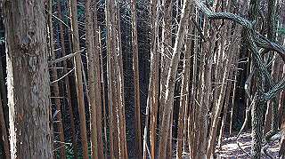 dsc00147_thumb.jpg