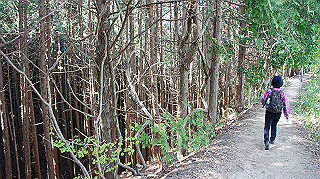 dsc00148_thumb.jpg