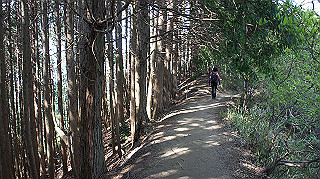 dsc00156_thumb.jpg