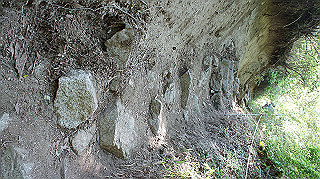 dsc00161_thumb.jpg