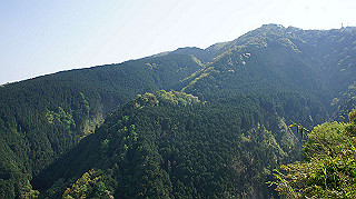 dsc00164_thumb.jpg