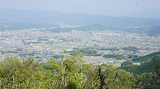dsc00167_thumb.jpg