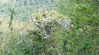 dsc00169_thumb.jpg