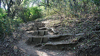 dsc00174_thumb.jpg