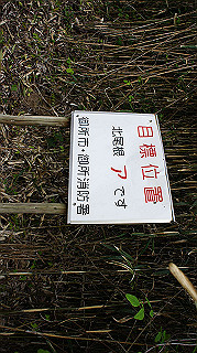 dsc00176_thumb.jpg