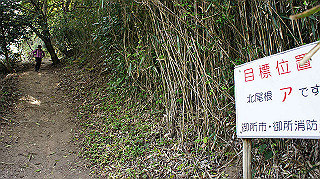 dsc00177_thumb.jpg