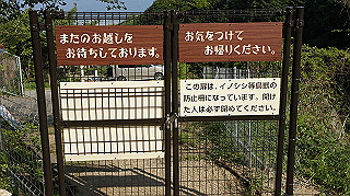 dsc00183_thumb.jpg