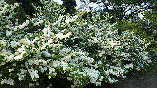 dsc00186_thumb.jpg
