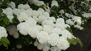 dsc00188_thumb.jpg