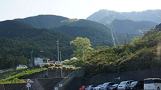 dsc00196_thumb.jpg